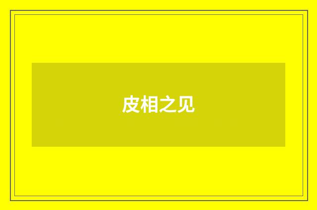 皮相之见