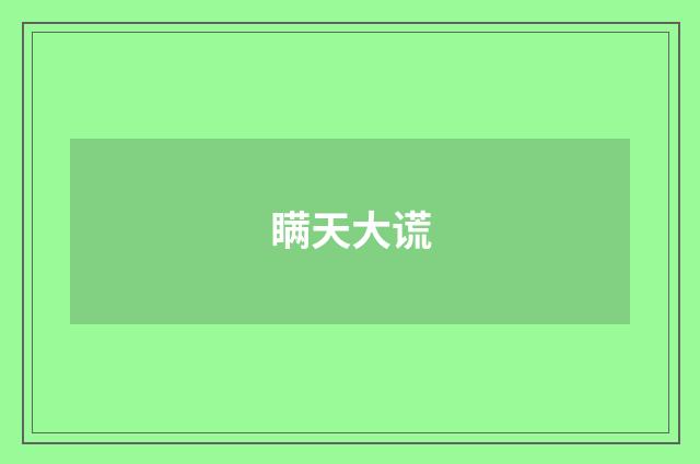 瞒天大谎