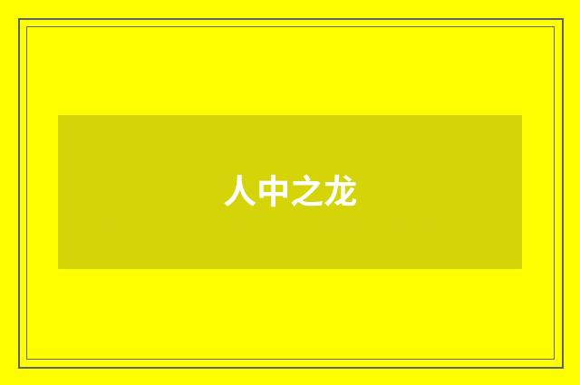 人中之龙