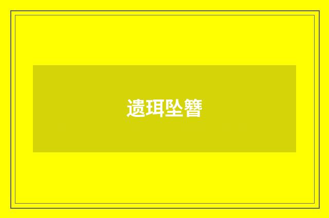 遗珥坠簪