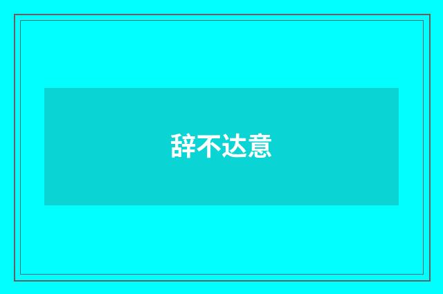 辞不达意