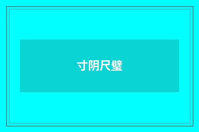 寸阴尺璧