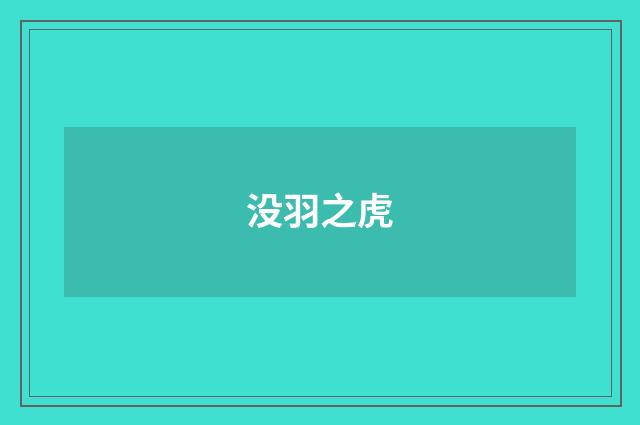 没羽之虎