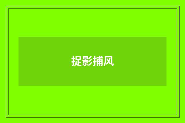 捉影捕风