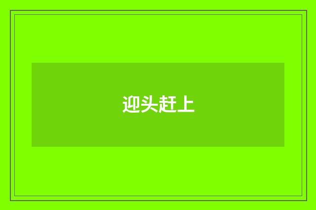 迎头赶上