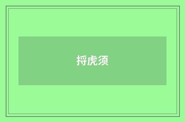 捋虎须