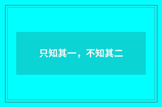 只知其一，不知其二