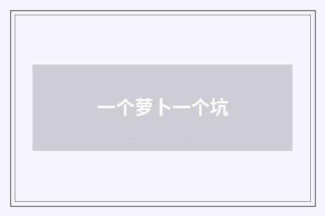 一个萝卜一个坑
