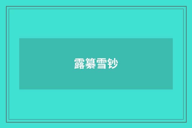 露纂雪钞
