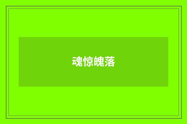 魂惊魄落