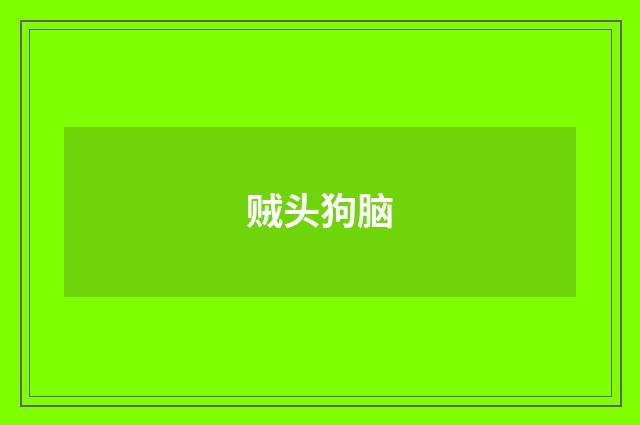贼头狗脑