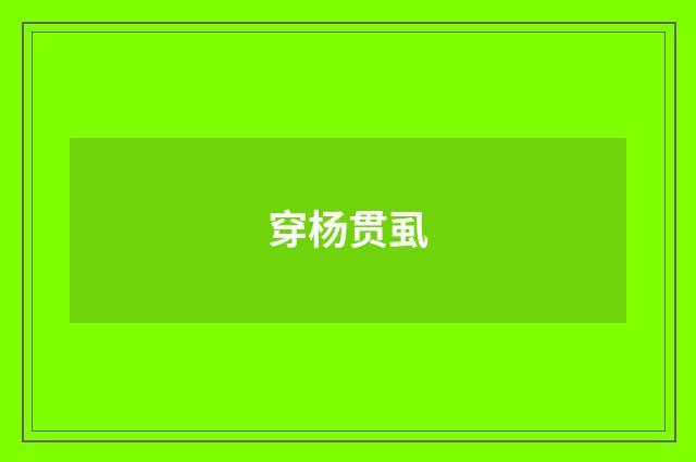 穿杨贯虱