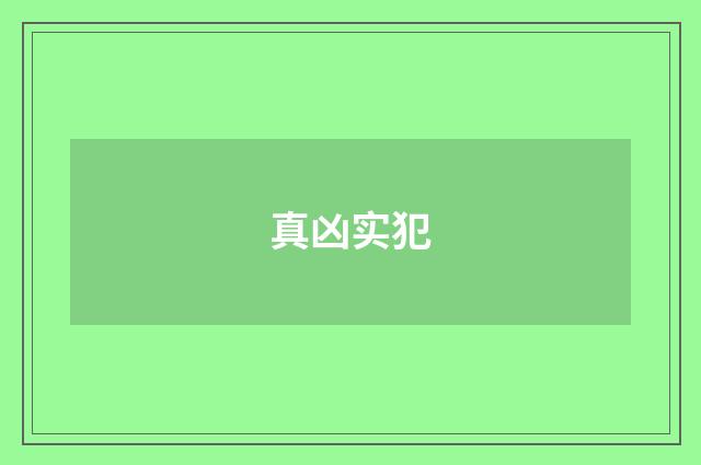 真凶实犯