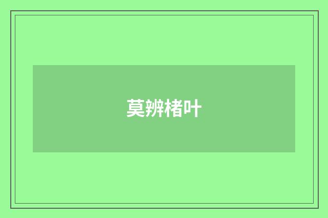 莫辨楮叶