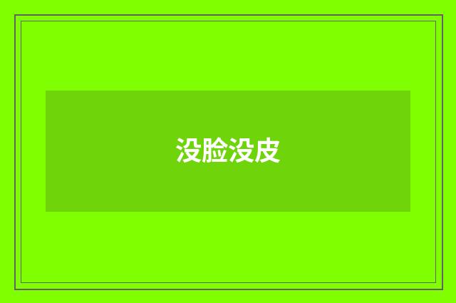 没脸没皮