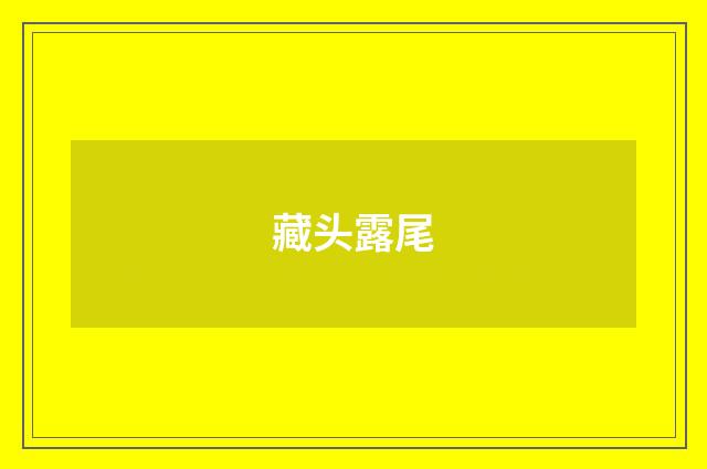 藏头露尾