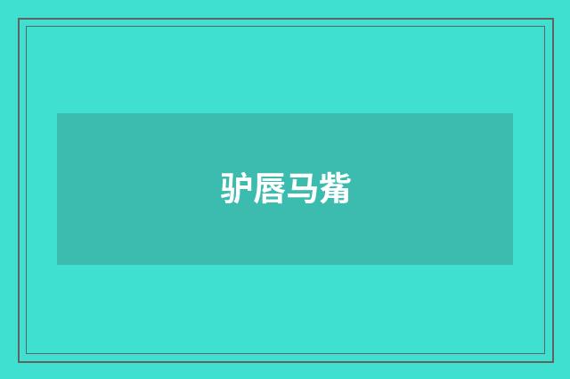 驴唇马觜