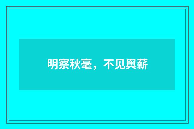 明察秋毫，不见舆薪