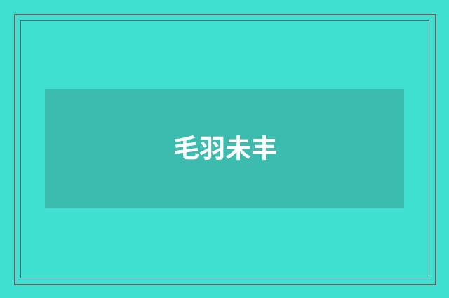 毛羽未丰