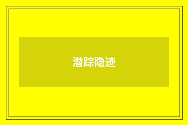 潜踪隐迹
