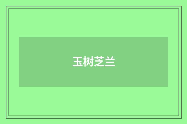 玉树芝兰
