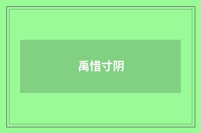 禹惜寸阴