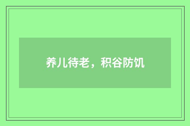 养儿待老，积谷防饥