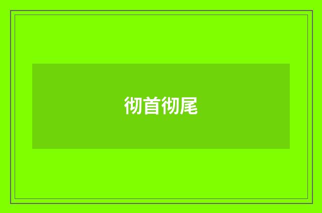 彻首彻尾