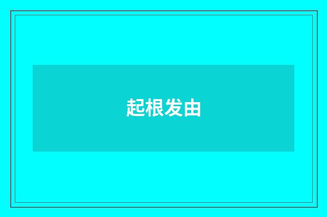 起根发由