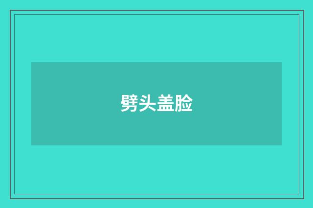 劈头盖脸