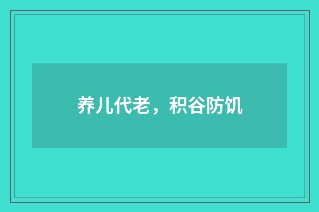 养儿代老，积谷防饥