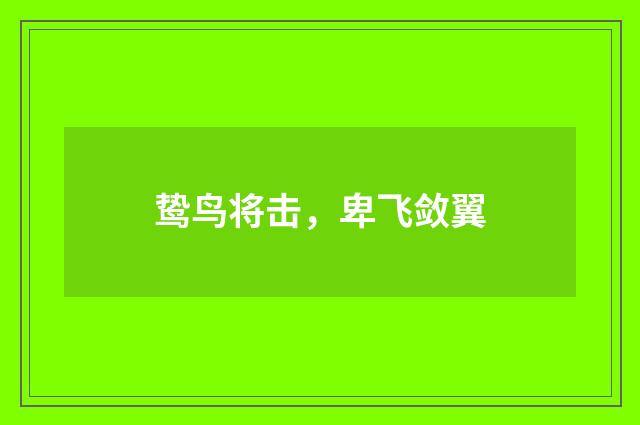 鸷鸟将击，卑飞敛翼