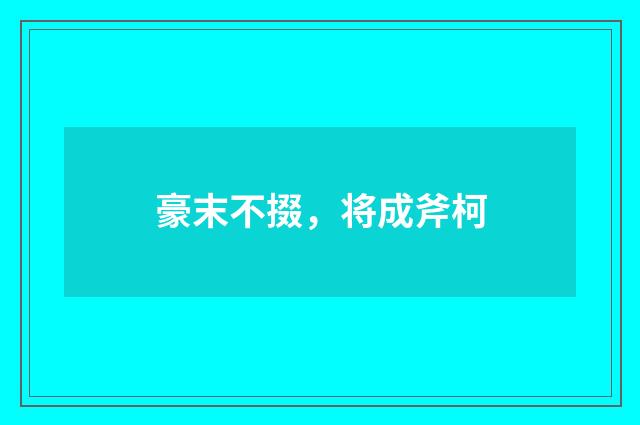 豪末不掇，将成斧柯