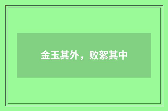 金玉其外，败絮其中