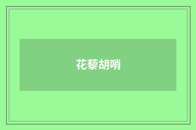 花藜胡哨