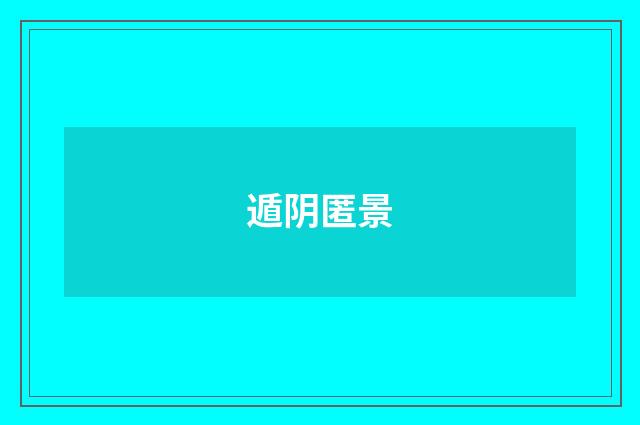 遁阴匿景