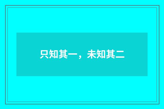 只知其一，未知其二
