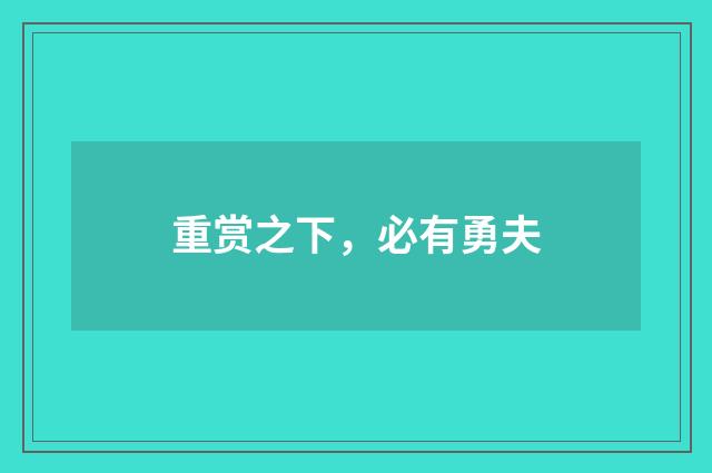 重赏之下，必有勇夫