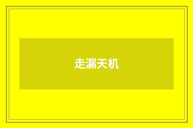 走漏天机