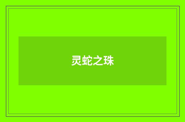 灵蛇之珠