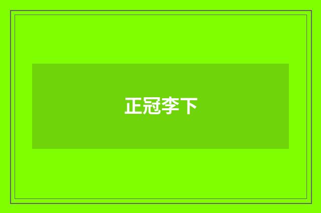 正冠李下