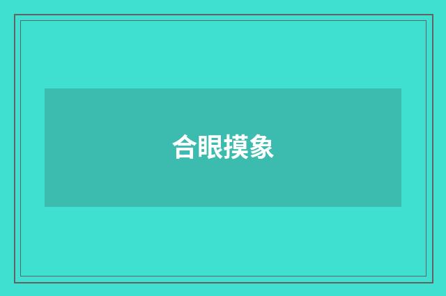 合眼摸象