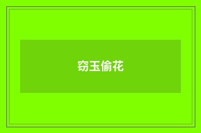 窃玉偷花
