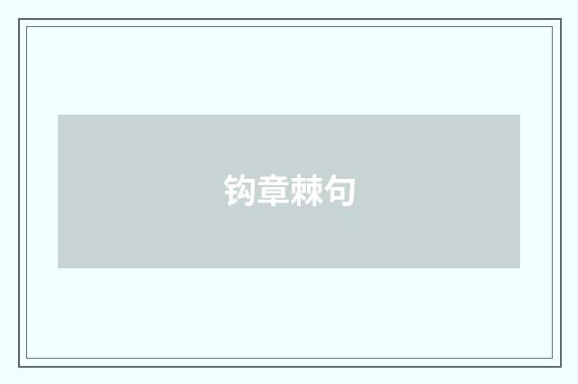 钩章棘句