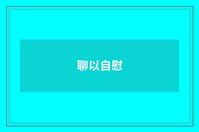 聊以自慰