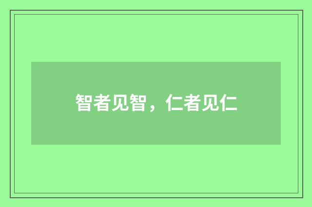 智者见智，仁者见仁