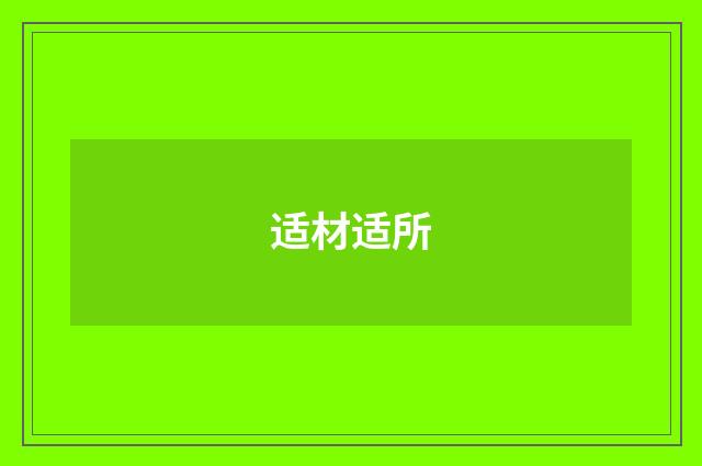 适材适所