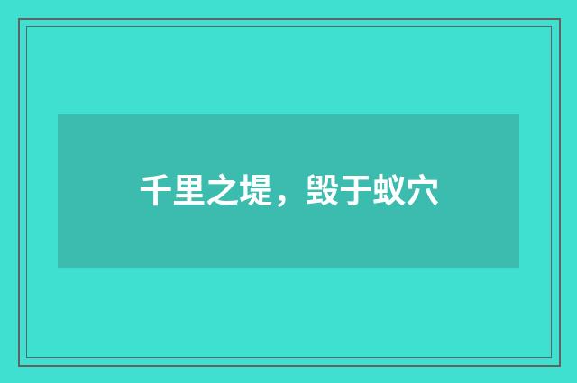 千里之堤，毁于蚁穴