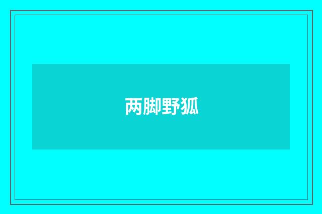 两脚野狐