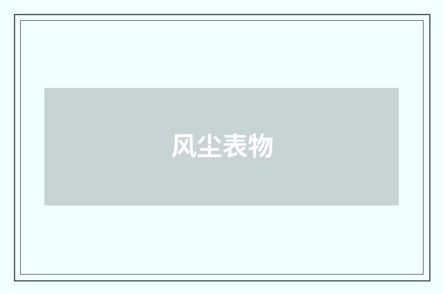 风尘表物